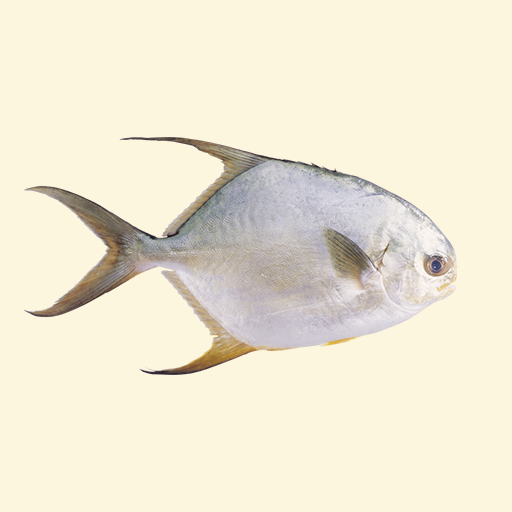 專人街市采購 新鮮魚類海鮮  冷凍食品火鍋必備 生鮮 網購  魚